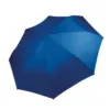 Mini parapluie pliable