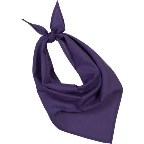 Fiesta - Bandana