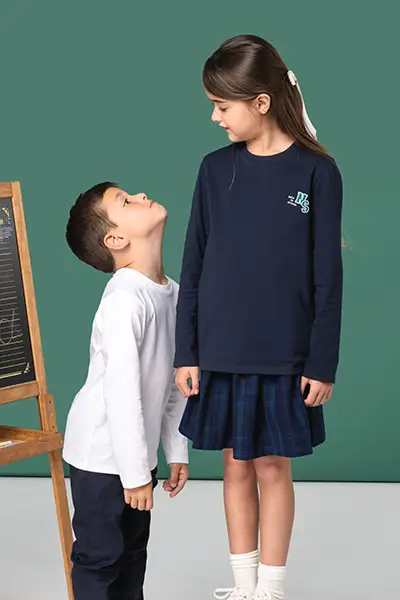Teeshirt Col V