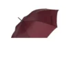 Parapluie de golf