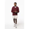 Pull col V homme