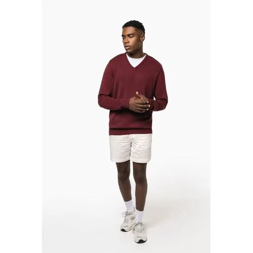 Pull col V homme