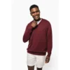 Pull col V homme