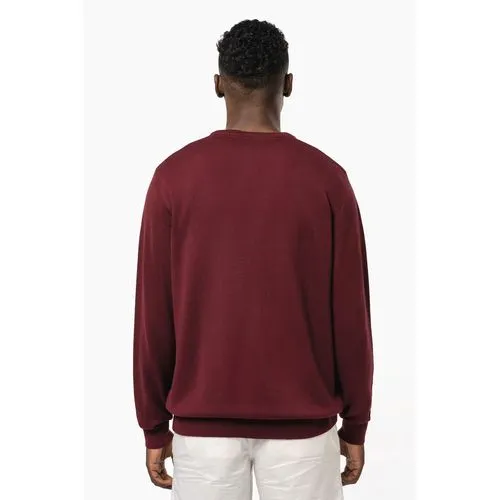 Pull col V homme