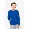 Sweat-shirt capuche contrastée enfant