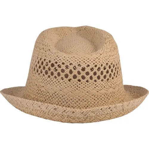 Chapeau style Panama