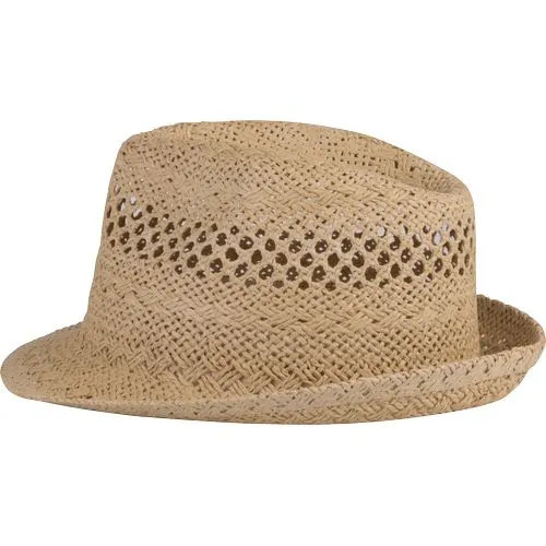 Chapeau style Panama