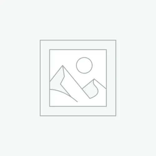 woocommerce-placeholder BIC® Highlighter Flat